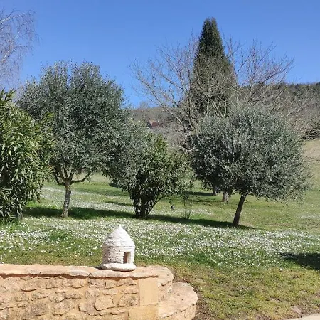 Magnolia Dou-vi Holiday home